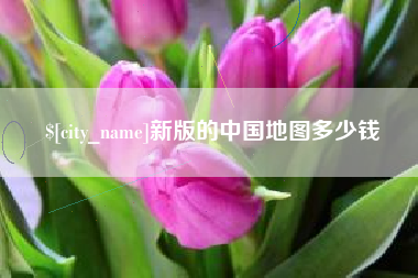 新泰新版的中国地图多少钱