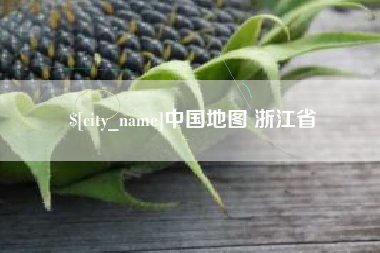 新泰中国地图 浙江省