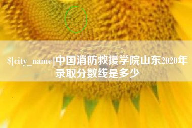 新泰中国消防救援学院山东2020年录取分数线是多少