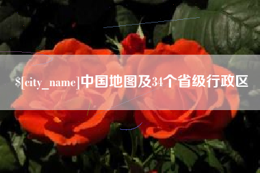 新泰中国地图及34个省级行政区