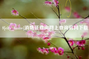 新泰消防证查询网上查询官网下载