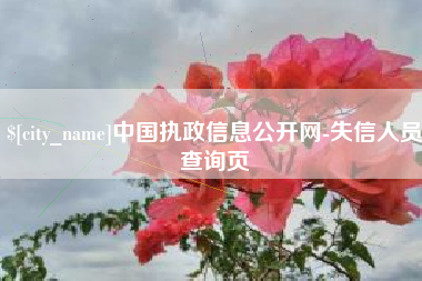 新泰中国执政信息公开网-失信人员查询页