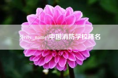 新泰中国消防学校排名