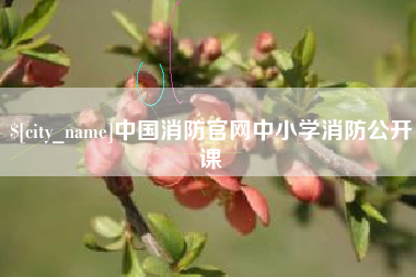 新泰中国消防官网中小学消防公开课