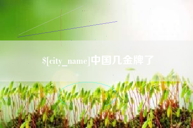 新泰中国几金牌了