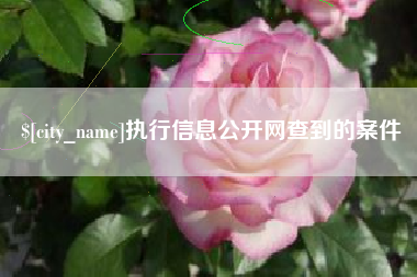 新泰执行信息公开网查到的案件