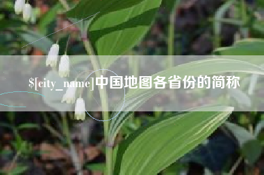 新泰中国地图各省份的简称