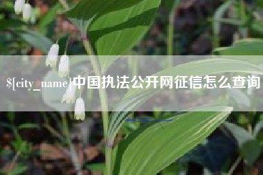 新泰中国执法公开网征信怎么查询