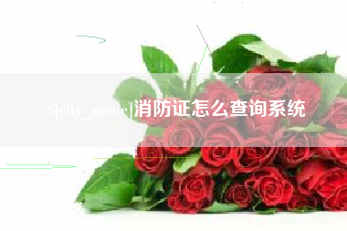 新泰消防证怎么查询系统