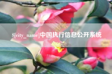 新泰中国执行信息公开系统