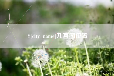 新泰九宫图位置