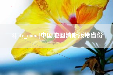 新泰中国地图清晰版带省份