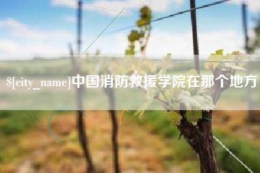 新泰中国消防救援学院在那个地方