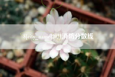 新泰2021消防分数线