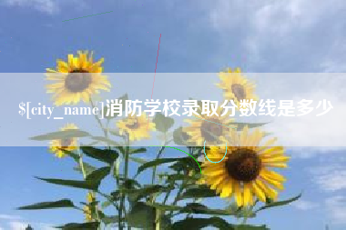 新泰消防学校录取分数线是多少