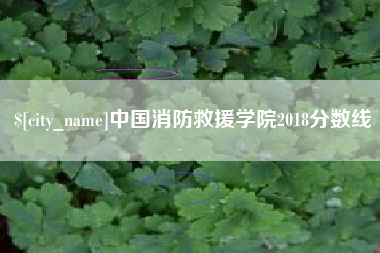 新泰中国消防救援学院2018分数线