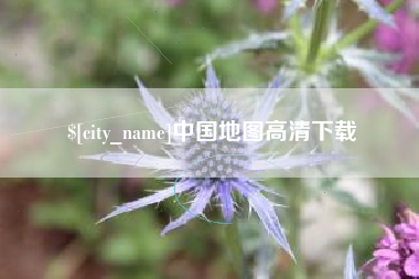 新泰中国地图高清下载