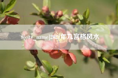 新泰2021年九宫格风水
