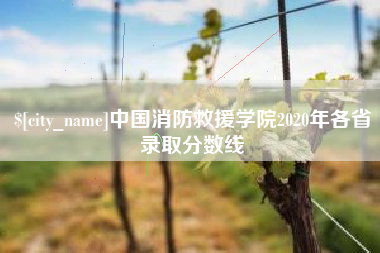 新泰中国消防救援学院2020年各省录取分数线