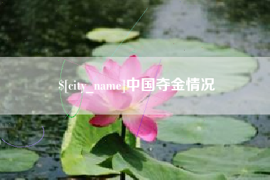 新泰中国夺金情况