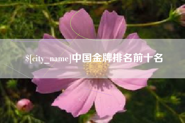 新泰中国金牌排名前十名