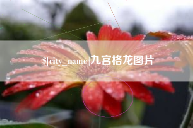 新泰九宫格龙图片