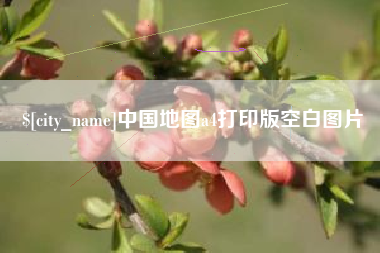 新泰中国地图a4打印版空白图片