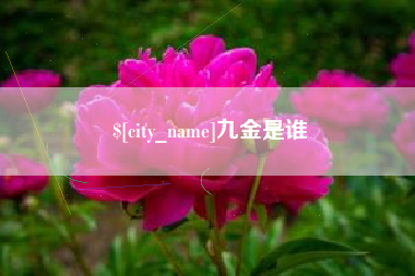 新泰九金是谁