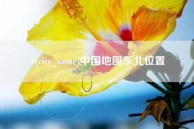 新泰中国地图东北位置