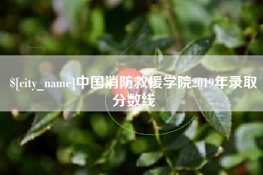 新泰中国消防救援学院2019年录取分数线