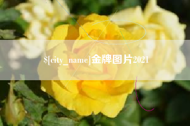 新泰金牌图片2021