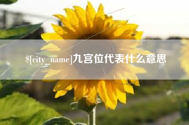 新泰九宫位代表什么意思