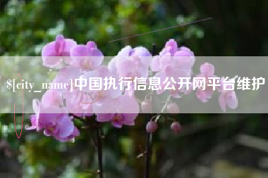 新泰中国执行信息公开网平台维护