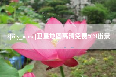 新泰卫星地图高清免费2024街景