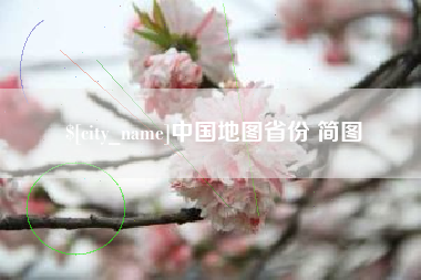 新泰中国地图省份 简图