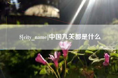新泰中国九关都是什么
