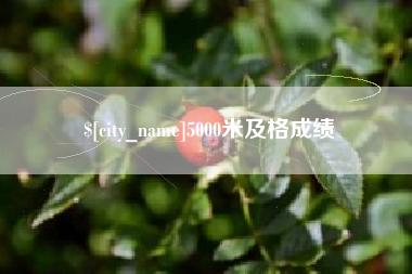 新泰5000米及格成绩