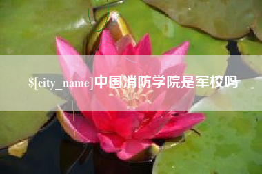新泰中国消防学院是军校吗