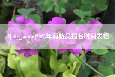 新泰2025年消防员报名时间表格