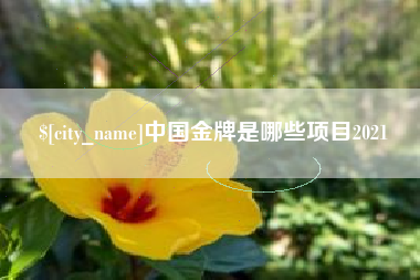 新泰中国金牌是哪些项目2021