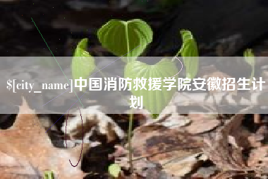 新泰中国消防救援学院安徽招生计划