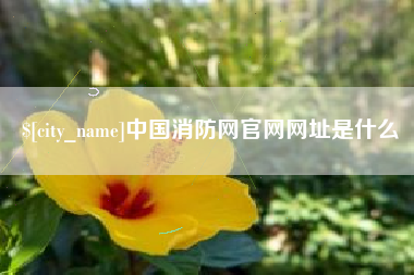 新泰中国消防网官网网址是什么