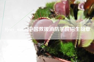 新泰中国救援消防学院招生简章