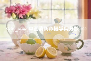 新泰中国消防救援学院分数2020
