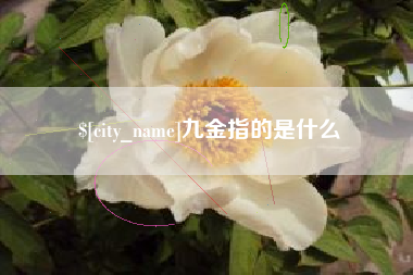 新泰九金指的是什么