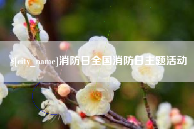 新泰消防日全国消防日主题活动