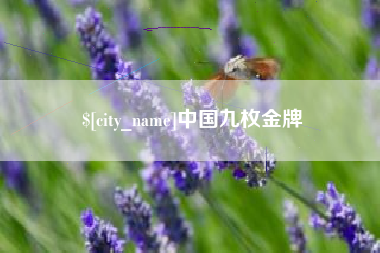 新泰中国九枚金牌