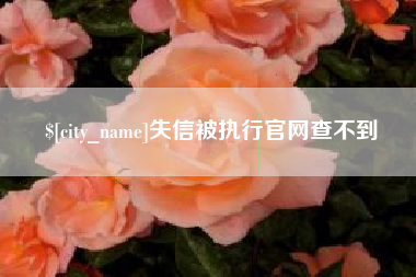 新泰失信被执行官网查不到