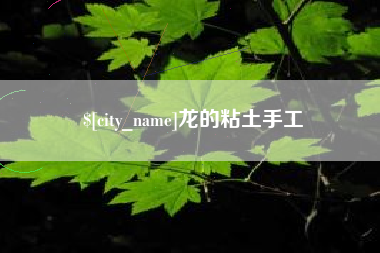 新泰龙的粘土手工