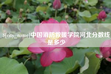 新泰中国消防救援学院河北分数线是多少